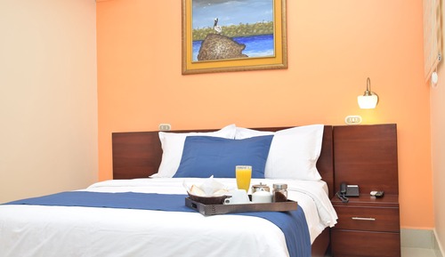 Executive Double Room Single Use