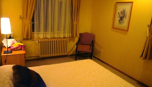 Standard Double or Twin Room, Mountain View