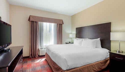Suite, 1 King Bed, Non Smoking, Kitchenette (with Sofabed)