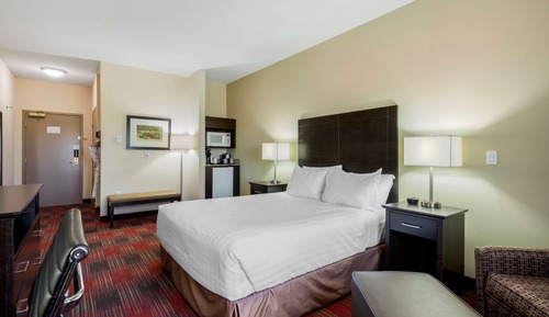 Standard Room, 1 King Bed, Non Smoking, Kitchen