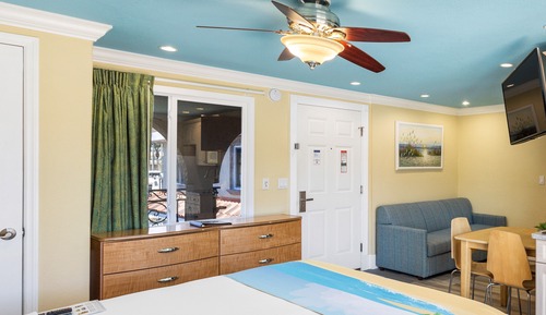 Standard Room: 1 Queen Bed and 1 Sleeper Sofa