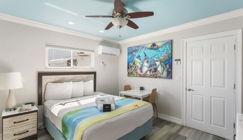 Standard Room: 1 Queen Bed