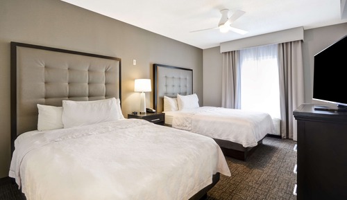 Suite, Two Queen and One Sofa Bed