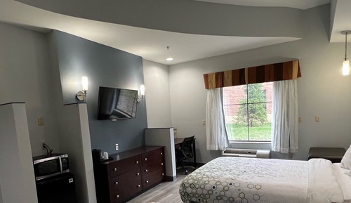 Studio, 1 King Bed, Non Smoking