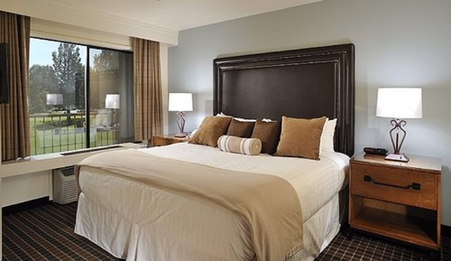 Suite, 1 Bedroom (King)