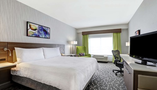 One king bed evolution room