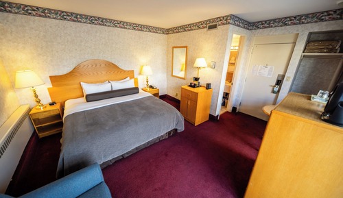 Standard Room, 1 King Bed with Sofa bed