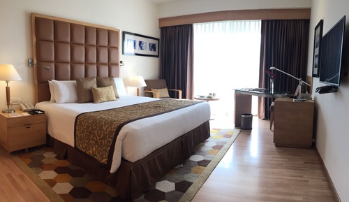 Club Room, 1 Queen Bed