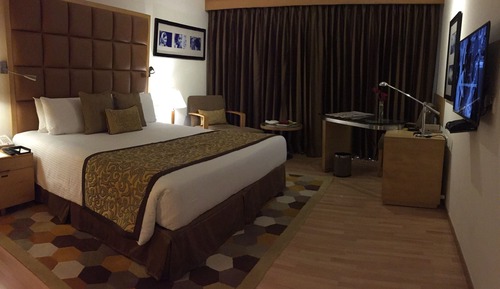 Executive Room, 1 Queen Bed