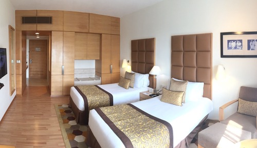 Club Room, 1 Twin Bed