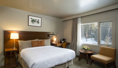 Standard Room, 1 King Bed (Standard Woodland King)