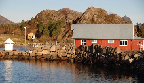 Standard Cabin, 1 Bedroom