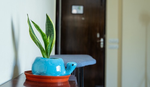 2 BHK Suite