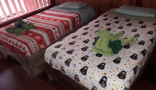 Economy Shared Dormitory