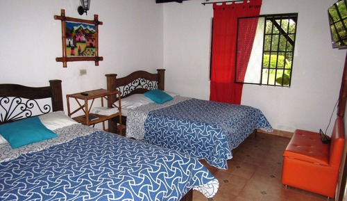 Standard Room, Mountain View