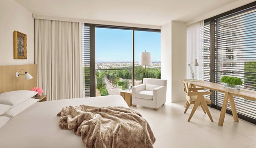 Loft, 1 King Bed