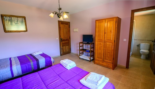 Comfort Double or Twin Room