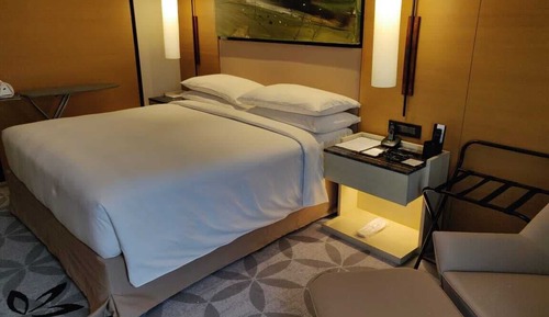 Room, 1 King Bed, Accessible