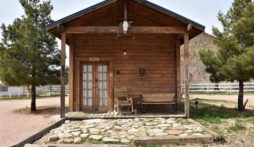 Cabin (Large Pine)