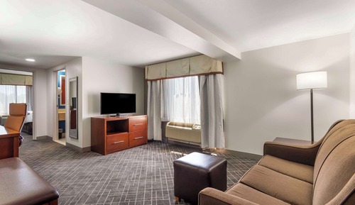 Suite, 1 King Bed with Sofa bed, Non Smoking