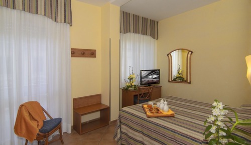 Double Room Single Use