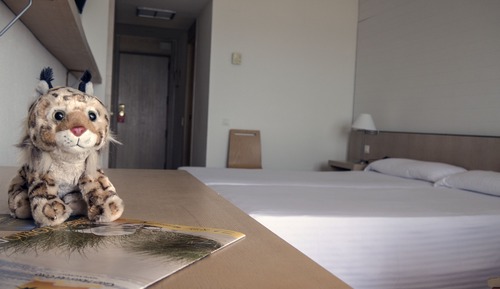 Double Room (Parking view, 2 Adults + 1 Child)