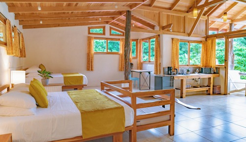 Deluxe Studio Suite, 2 Bedrooms, Mountain View