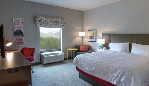 Room, 1 King Bed, Accessible, Bathtub (Mobility & Hearing)