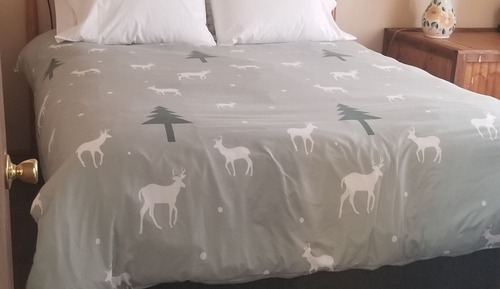 Deluxe Cabin Suite