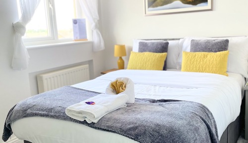 Standard Double Room Single Use, 1 Double Bed