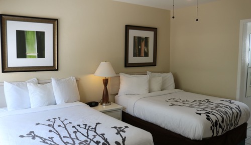 Room, 2 Double Beds, Kitchen, Courtyard View (1st Floor)