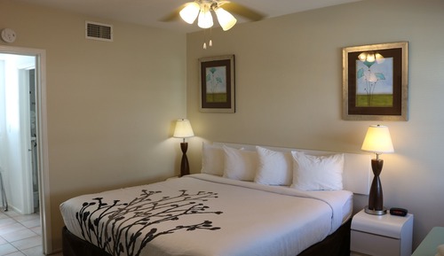 Room, 1 King Bed, Kitchen, Courtyard View (1st Floor)