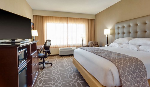 Deluxe Room, 1 King Bed, Accessible, Refrigerator & Microwave (Hearing Accessible, Roll in Shower)