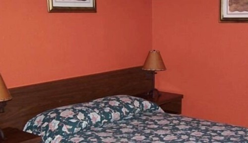 Basic Room, 1 Double Bed