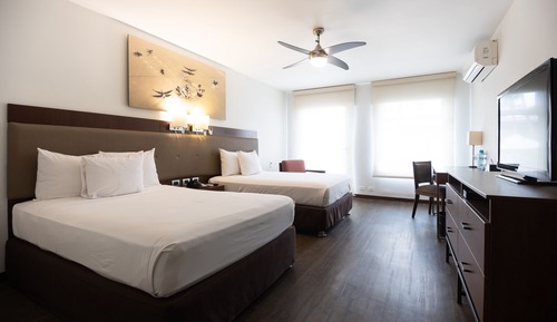 Superior Twin Room, Pool View