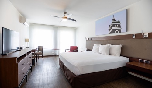 Superior Room, 1 King Bed, Terrace