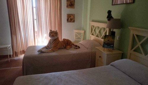 Design Room, 2 Twin Beds, Air conditioning, City View