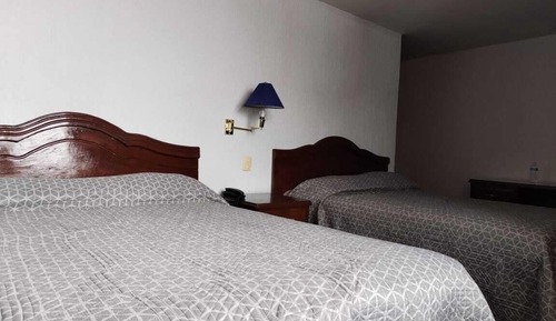 Basic Room, City View