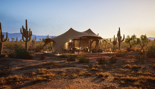 Tent Ocotillos