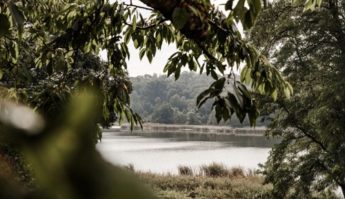Junior Suite, Balcony, Lake View