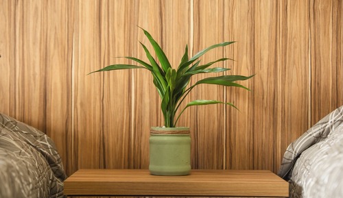 Triple Room, Garden View