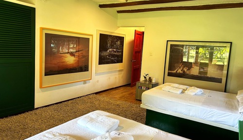 Triple Room, Garden View