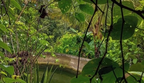 Classic Triple Room, Lake View