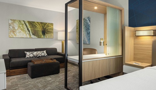 Suite, 1 King Bed with Sofa bed