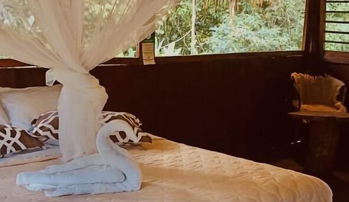 Standard Cabin, River View