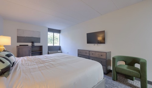 Superior Double Room, 1 King Bed, Microwave