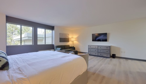 Superior Studio Suite, 1 King Bed, Kitchenette