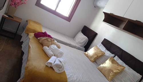 Standard Studio Suite