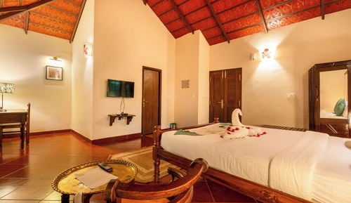 Premium Double Room