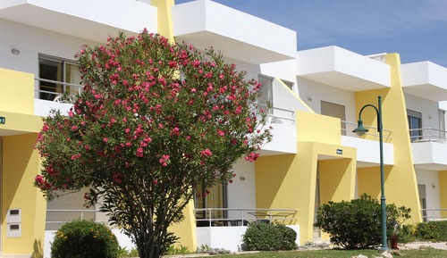 Apartment, 1 Bedroom, Balcony, Pool View